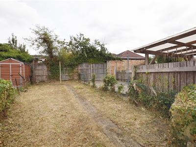 Picture 11